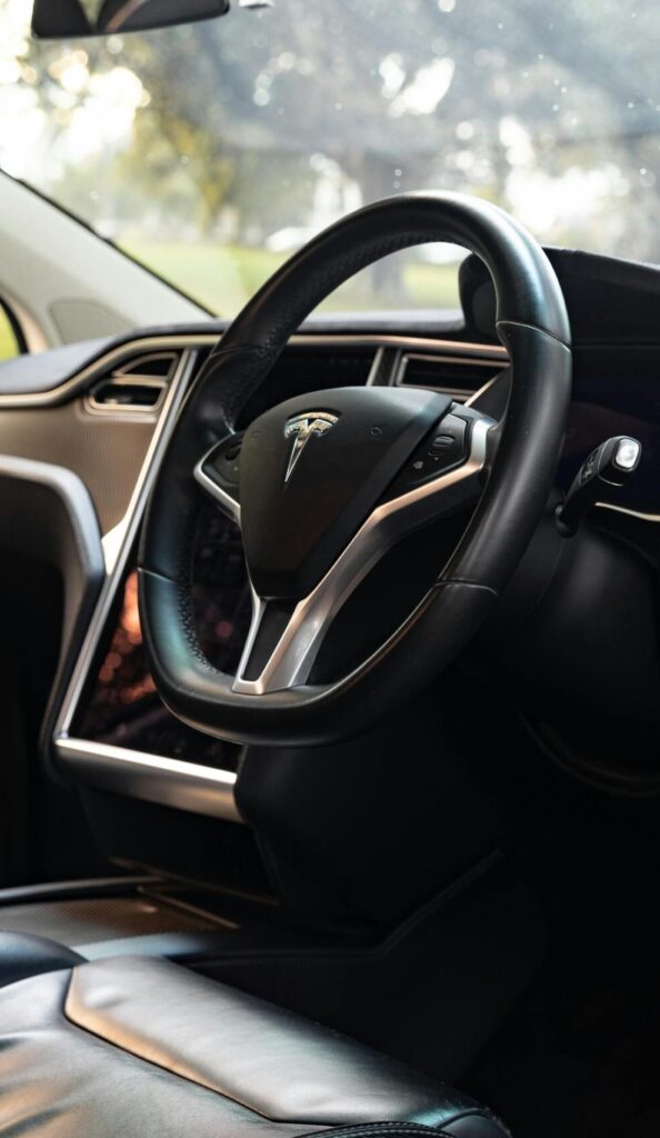 Explore the elegant interior of a Tesla Model X captured in a Sydney park setting.