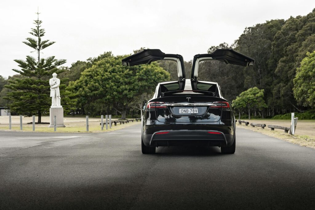 Rear view of a Tesla Model X with falcon doors open, parked in a scenic park setting.