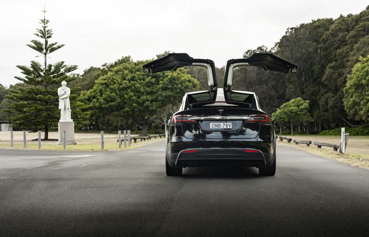 Rear view of a Tesla Model X with falcon doors open, parked in a scenic park setting.